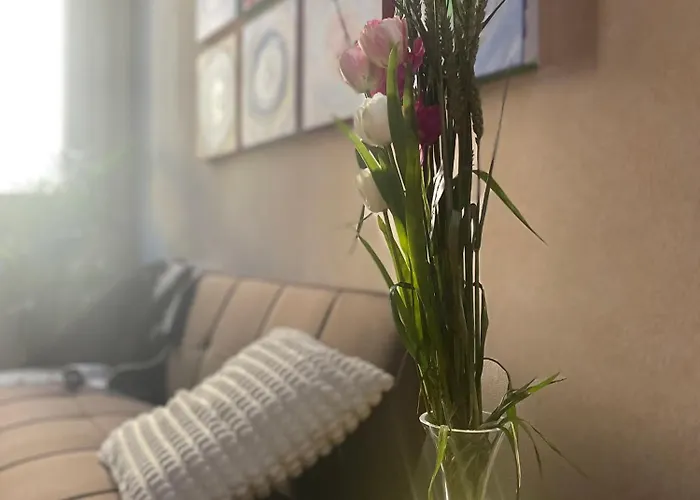 Apartment Scaligeri House Verona