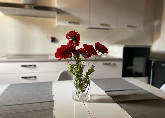 Apartment Scaligeri House Verona