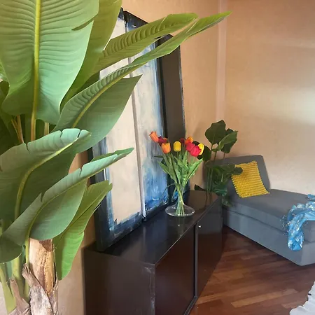 Scaligeri House Apartment *